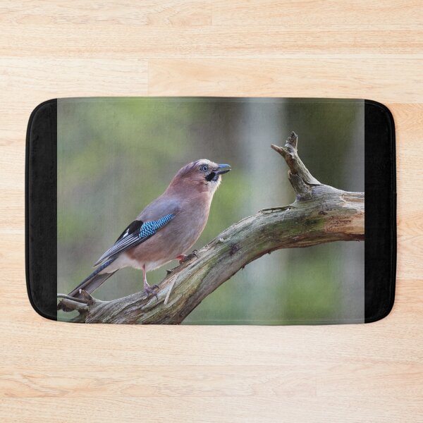 Item preview, Jaying. Eurasian jay designed and sold by Jouko Lehto Photography.