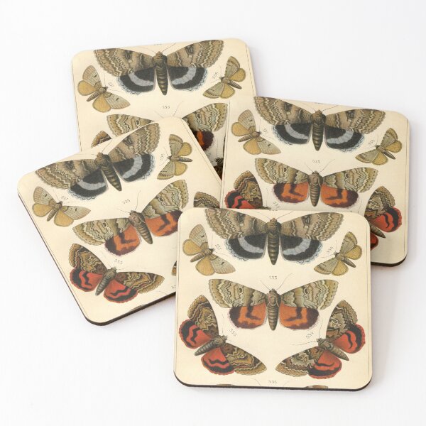 Item preview, Entomology Lepidoptera designed and sold by spikemet.