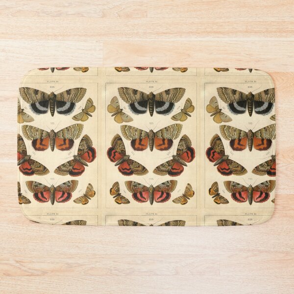 Item preview, Entomology Lepidoptera designed and sold by spikemet.