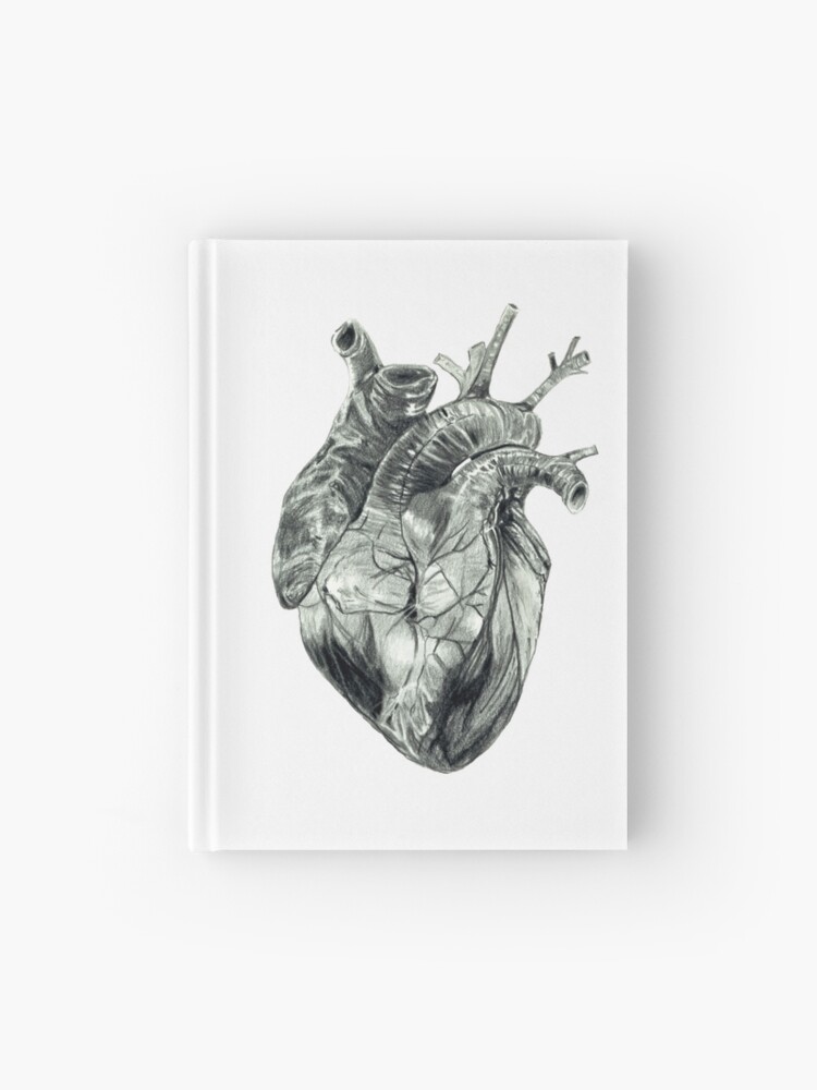 Anatomical Drawing Of A Human Heart Hardcover Journal By Watergardens Redbubble