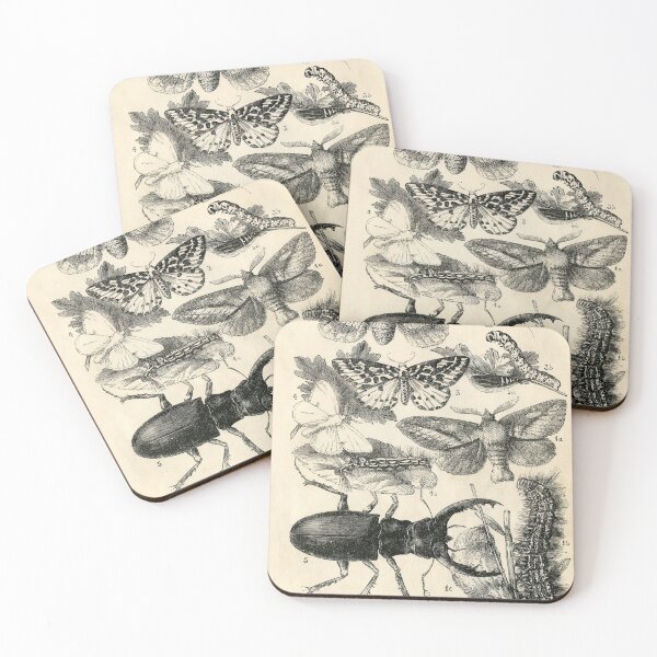 Item preview, Entomology Birth and Evolution designed and sold by spikemet.