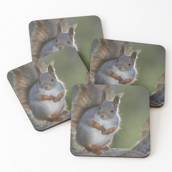 Item preview, At Your  service sir. Eurasian red squirrel designed and sold by Jouko Lehto Photography.