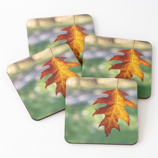 Item preview, Autumn leaf designed and sold by pietrofoto.