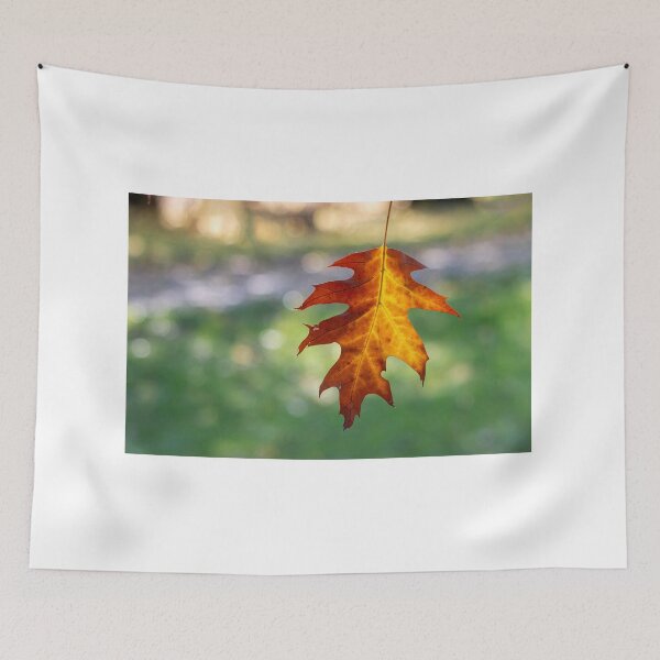Item preview, Autumn leaf designed and sold by pietrofoto.