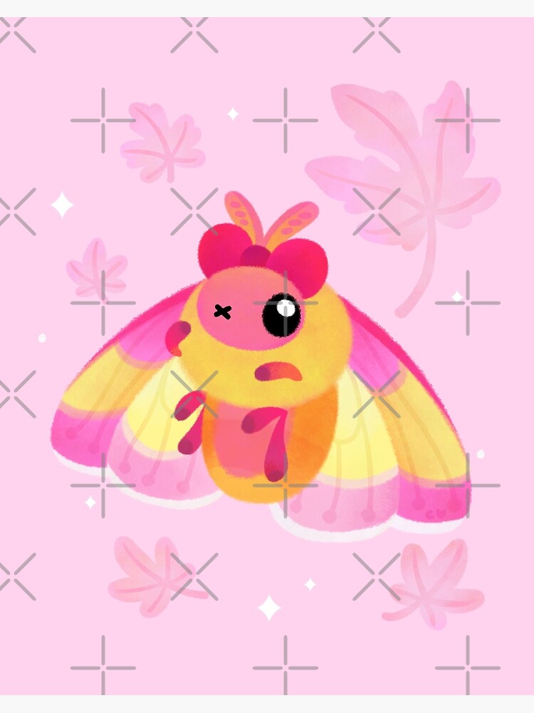 Rosy Maple Moth [CUTE] 