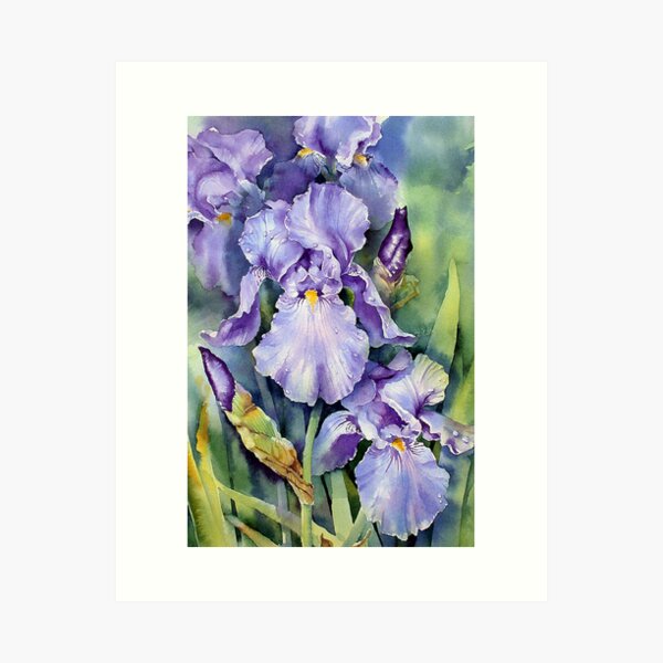 Dewdrop Irises Art Print