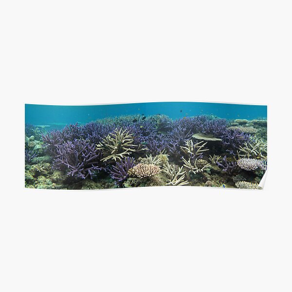 Rossel Island Lagoon Poster