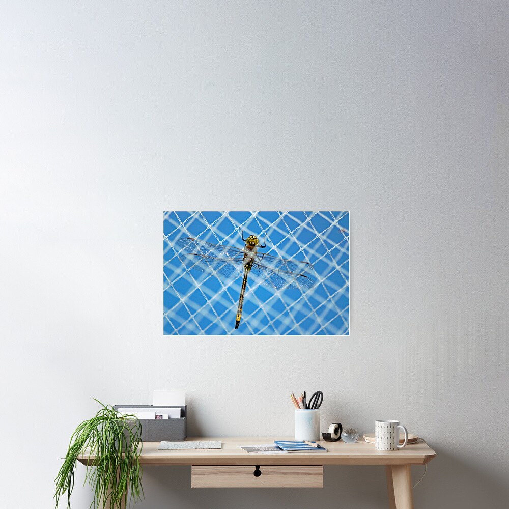 Item preview, Poster designed and sold by Chris Nies.