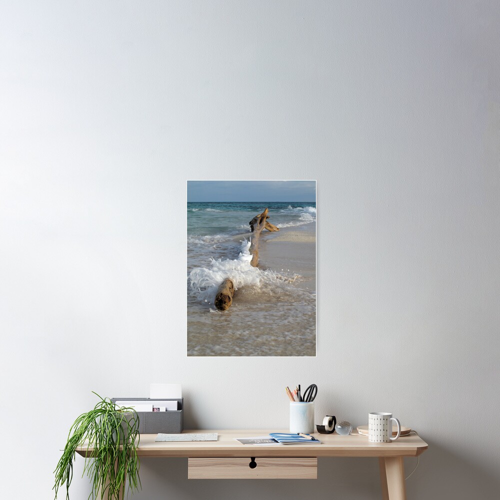 Driftwood and Wave Poster