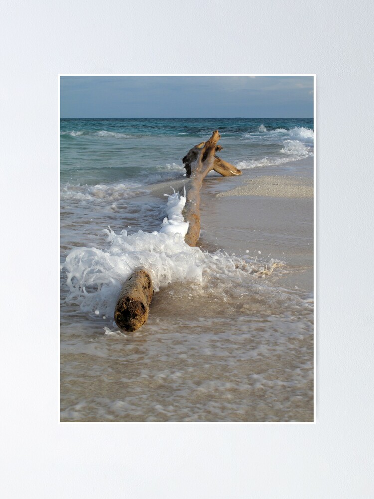Alternate view of Driftwood and Wave Poster