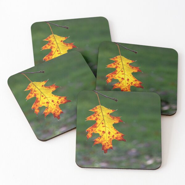 Item preview, Autumn leaf designed and sold by pietrofoto.