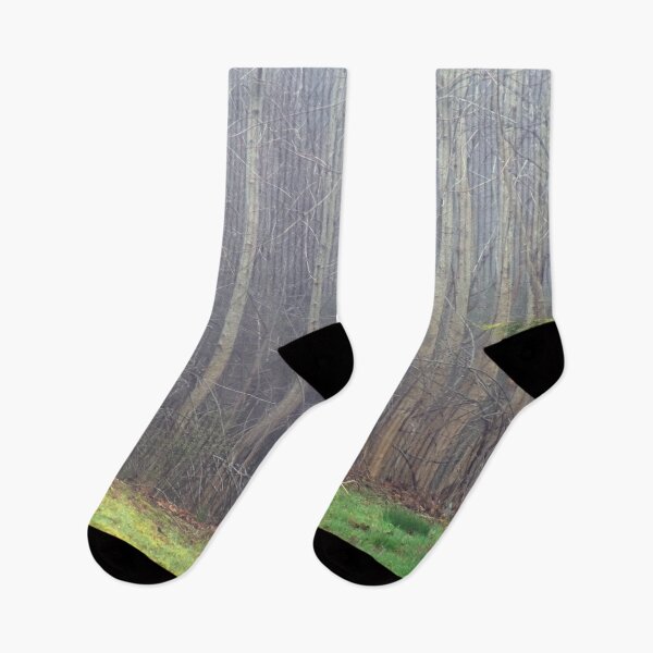 Item preview, The Enchanted Forest designed and sold by Maureen Zaharie.