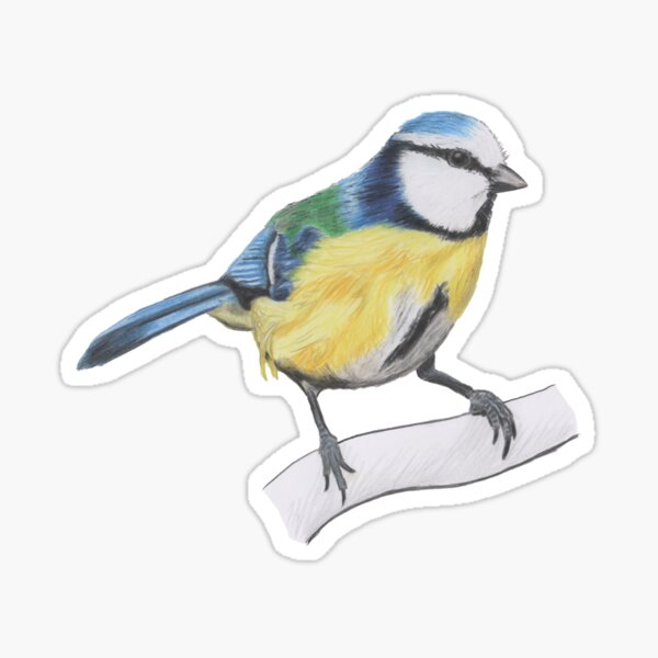 Bluetit 1/4 Sticker