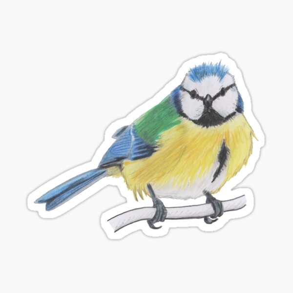 Bluetit 2/4 Sticker