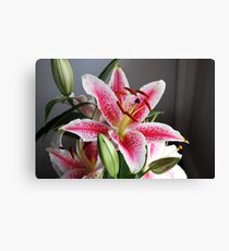 Flower Stargazer Lily Canvas Print