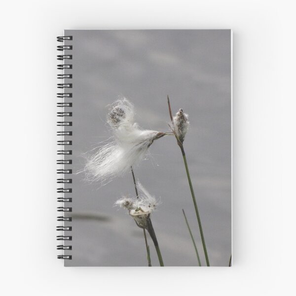 Item preview, Trossle Flower by Elisabeth and Barry King™ designed and sold by BE2gether.
