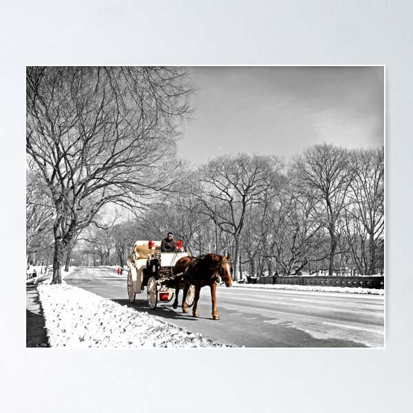 Item preview, Central Park, Handsome cab ride. designed and sold by Melissa Chinn.