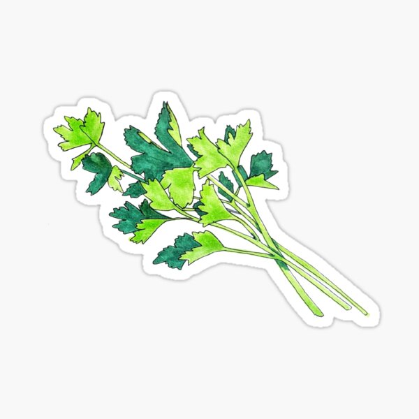 Parsley Sticker