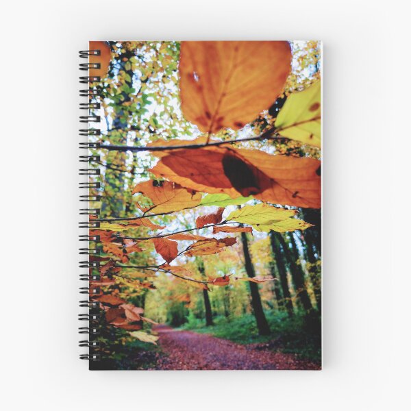 Item preview, Donadea Forest Park designed and sold by Tanya Taaffe.