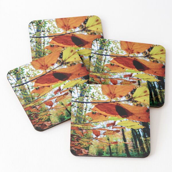 Item preview, Donadea Forest Park designed and sold by Tanya Taaffe.