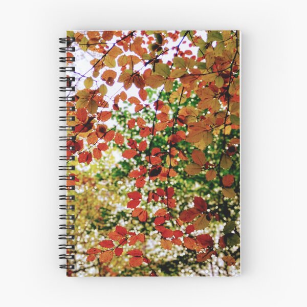 Item preview, Autumn in the Woods designed and sold by Tanya Taaffe.