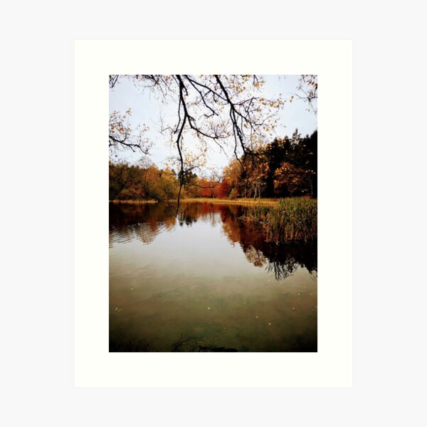 Item preview, Donadea Forest Park, Kildare, Ireland.  designed and sold by Tanya Taaffe.