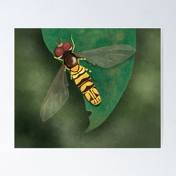 Item preview, Hoverfly designed and sold by Heather  Hinam.