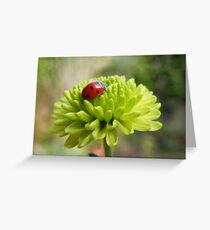 Irish luck Greeting Card