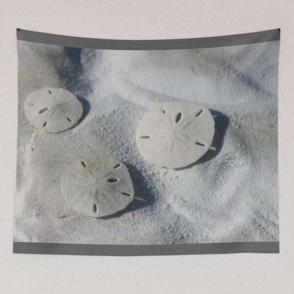 Item preview, Sand Dollars designed and sold by picturedlcphoto.