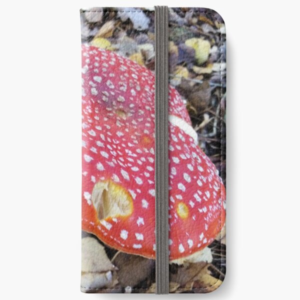 Fairytale Mushroom iPhone Wallet