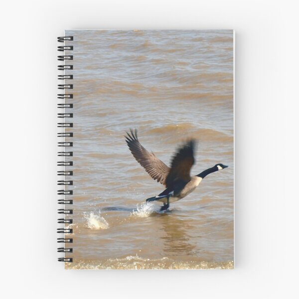 Item preview, Taking Flight 2 by Elisabeth and Barry King™ designed and sold by BE2gether.