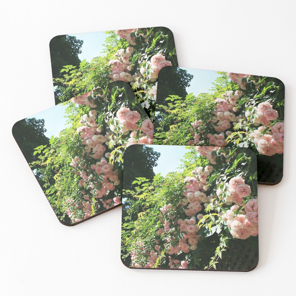 Item preview, Coasters (Set of 4) designed and sold by picturedlcphoto.