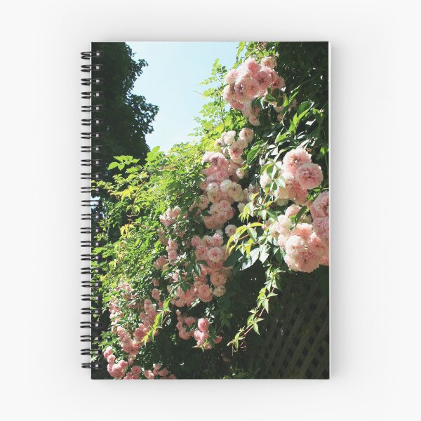 Item preview, Cascading Roses designed and sold by picturedlcphoto.