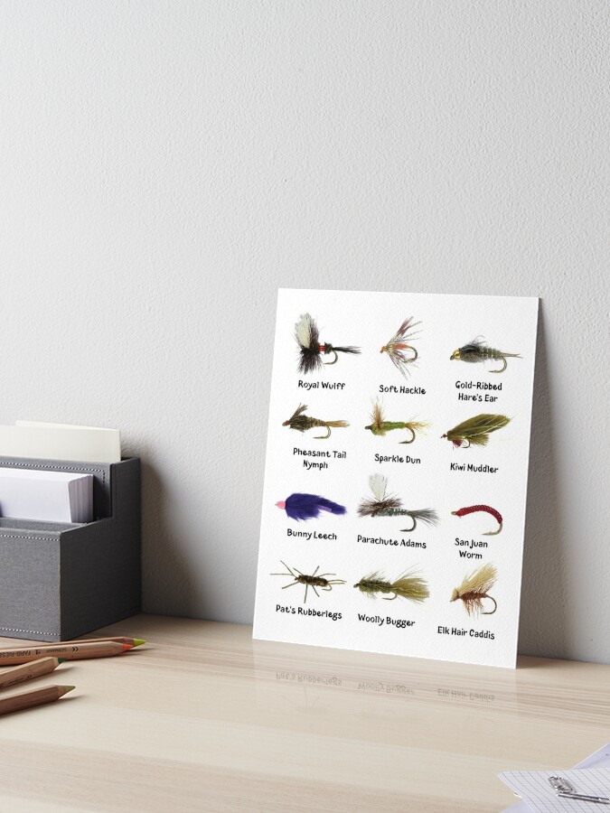 Fly Fishing Flies Fisherman Gift  Art Board Print for Sale by MrEddie10