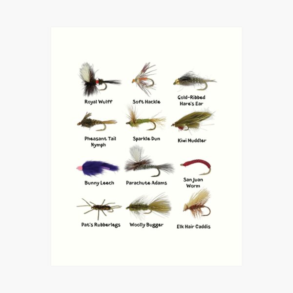 Vintage Fly Fishing Print - Trout Flies Framed Art Print by SFT Design  Studio