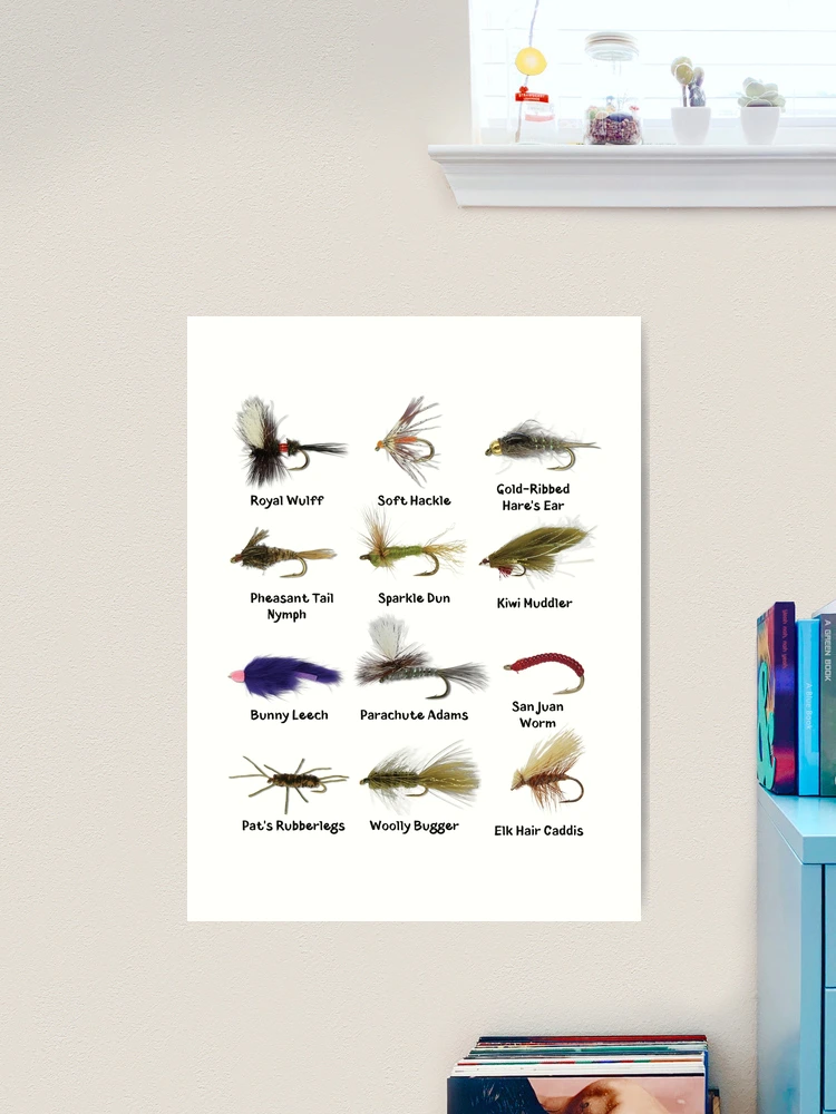 Fly Fishing Flies Fisherman Gift | Art Print
