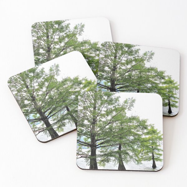 Item preview, Growing in Water designed and sold by Lesliebc.
