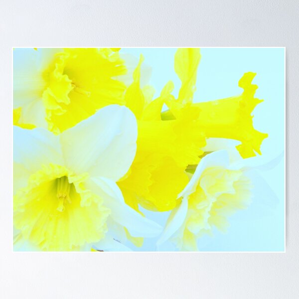 Item preview, Color Splash designed and sold by NatureGreeting Cards ©ccwri.