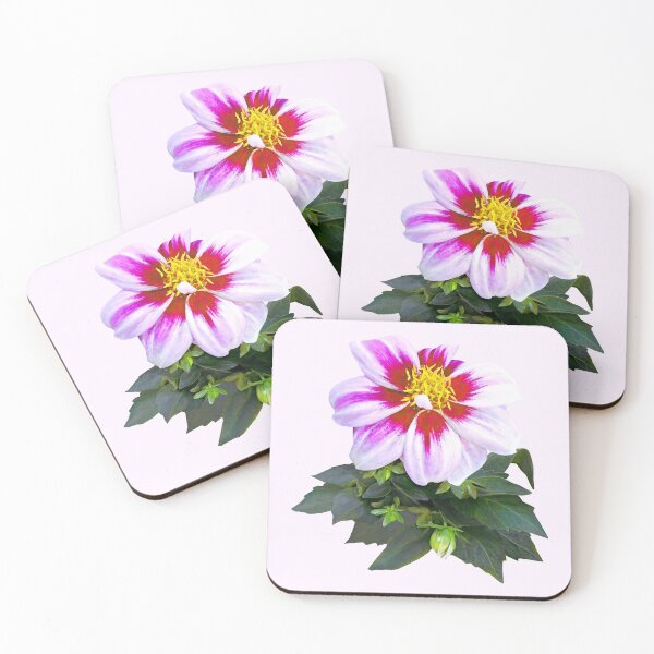 Item preview, Two-Toned Pink Dahlia designed and sold by Susan Savad.