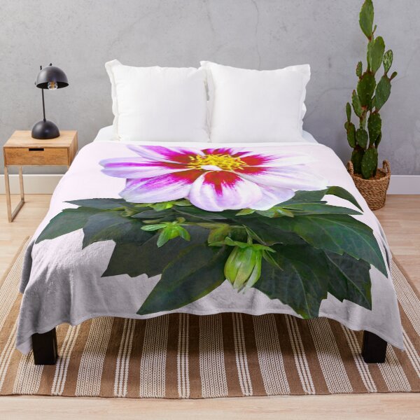 Item preview, Two-Toned Pink Dahlia designed and sold by Susan Savad.