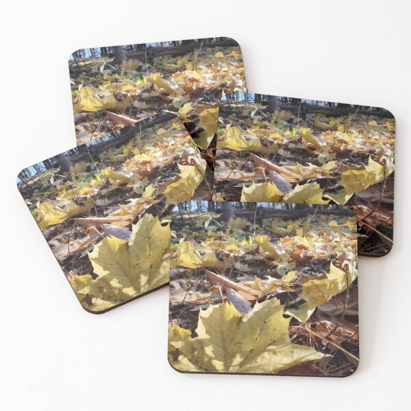 Item preview, The Forest Floor designed and sold by SusanSeamaiden.