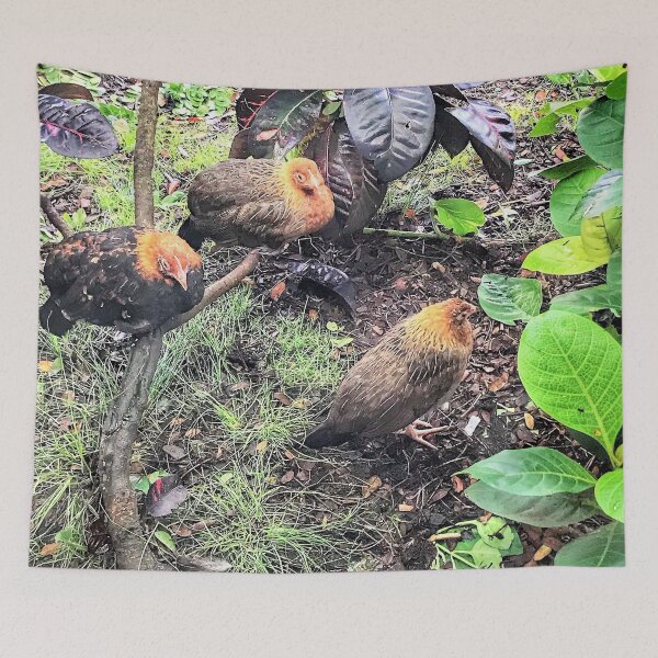 Item preview, Free Range Chickens designed and sold by Robin Kinnard.