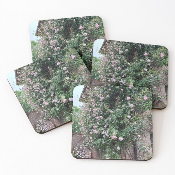 Item preview, century old riot of roses designed and sold by Jennco60.