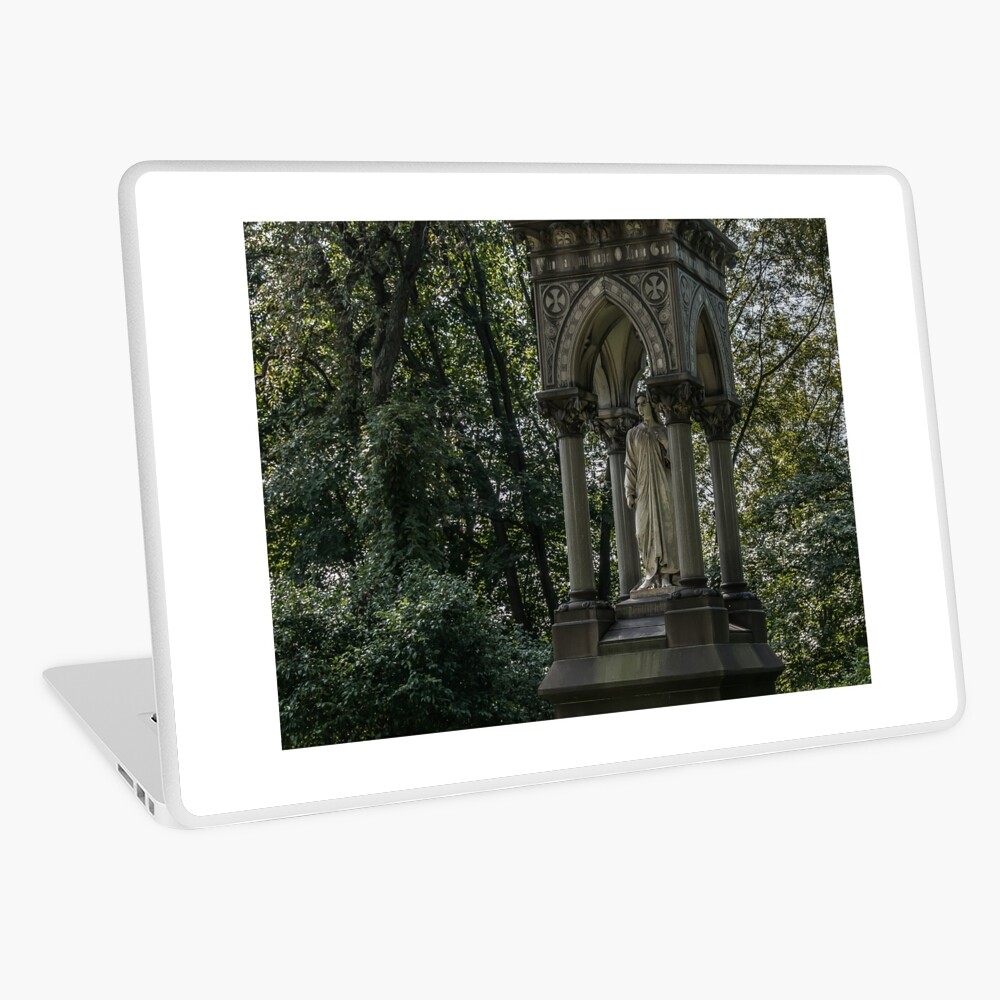 Item preview, Laptop Skin designed and sold by Scooterbob.
