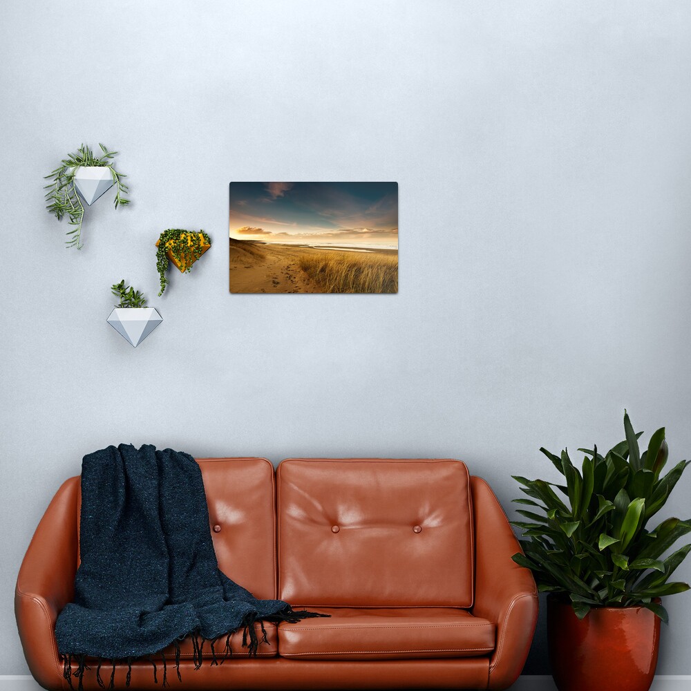 Dunes Metal Print