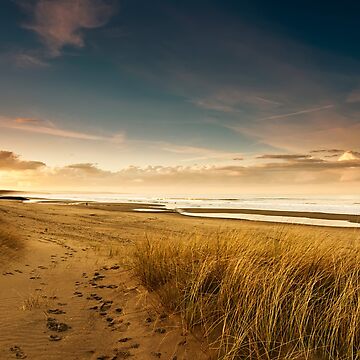 Artwork thumbnail, Dunes by tontoshorse