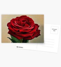 My Love is like a Red Red Rose Postcards