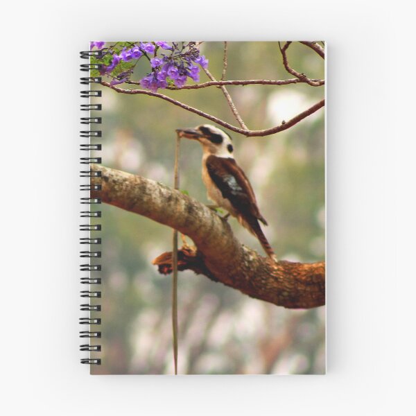 Item preview, Resting in a Jacaranda Tree after a bit of thrashing about designed and sold by myraj.