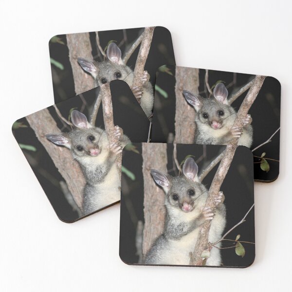 Item preview, © Australian brushtail possum (young) designed and sold by GeoPipics.
