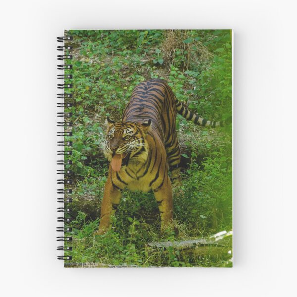 Item preview, tiger designed and sold by gwen wooten.